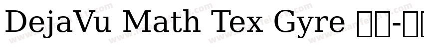 DejaVu Math Tex Gyre 字体字体转换